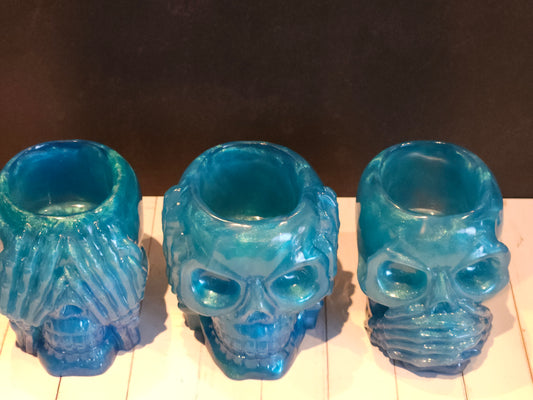 3 Wise Skulls