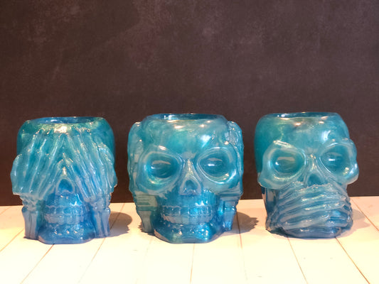 3 Wise Skulls